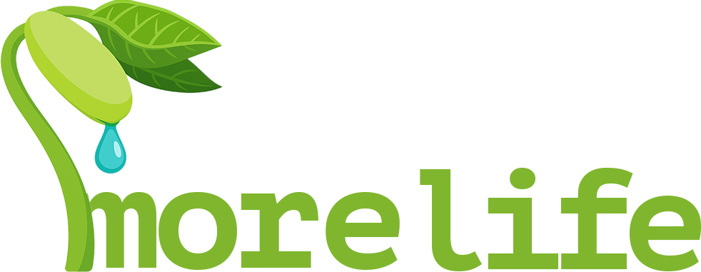 More Life logo